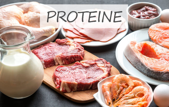 Proteine: che cosa sono, a cosa servono e in quali alimenti si trovano