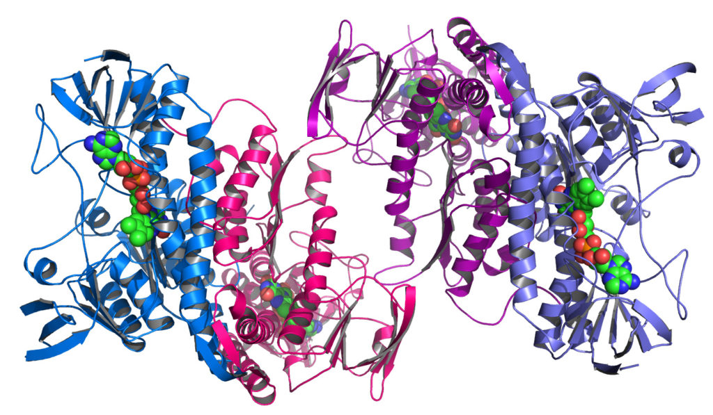 proteine struttura