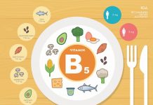 Vitamina B5: a cosa serve, proprietà, controindicazioni e dove trovarla negli alimenti