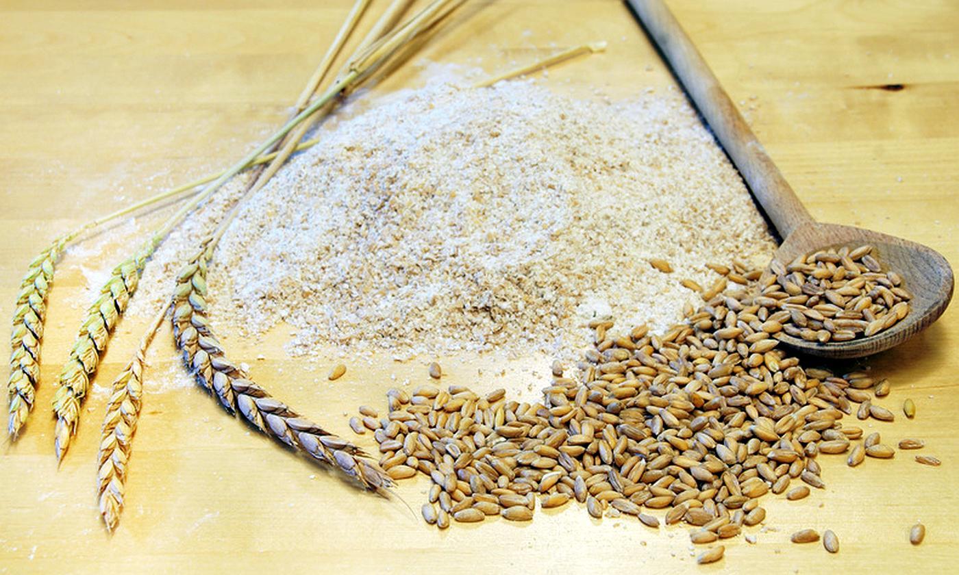 Замените пшеничные зерна. Полба спельта. Озимая пшеница спельта. Полба Колос. Цельнозерновая пшеница.