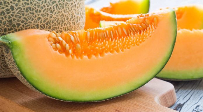 Melone (o Cucumis melo): proprietà, benefici, valori nutrizionali, utilizzi e controindicazioni