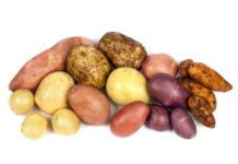 Patate: proprietà, benefici, utilizzi e valori nutrizionali