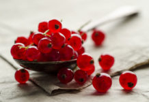 Ribes Rosso: proprietà, benefici, valori nutrizionali e utilizzi in cucina