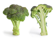 Broccoli: cosa sono, proprietà, benefici, utilizzi e controindicazioni