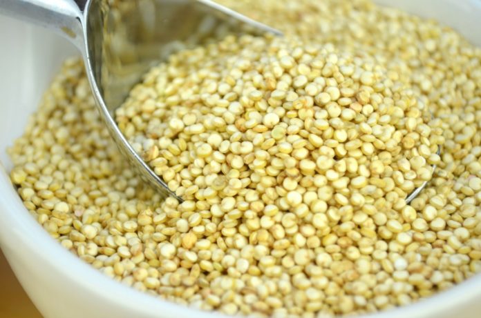 Quinoa: che cos'è, proprietà, benefici, valori nutrizionali, utilizzi e controindicazioni