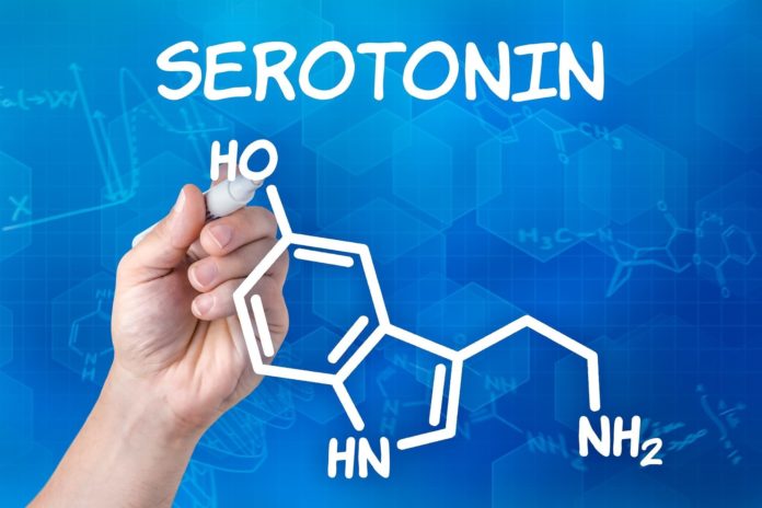 Serotonina: che cos’è, dove si trova, proprietà e utilizzi