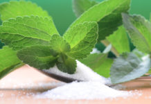 Stevia: che cos’è, proprietà, utilizzi e controindicazioni
