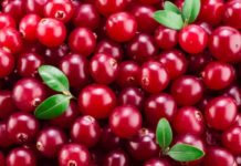 Cranberry: che cos'è, benefici, utilizzi, proprietà e controindicazioni