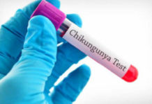 Chikungunya: che cos'è, sintomi, diagnosi e possibili cure