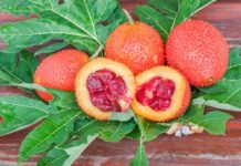 Gac Fruit: che cos'è, proprietà, benefici, valori nutrizionali ed utilizzi