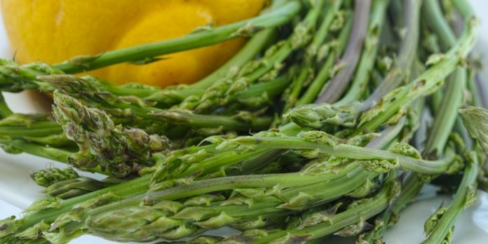 Asparagi Selvatici: cosa sono, proprietà, valori nutrizionali, utilizzi e controindicazioni
